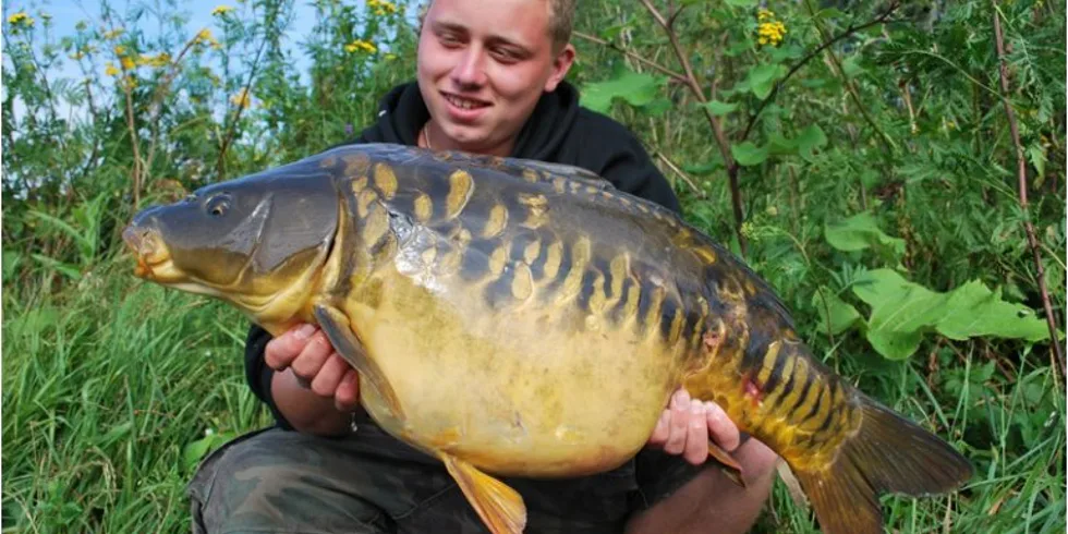 Gangsterský prázdninový finiš