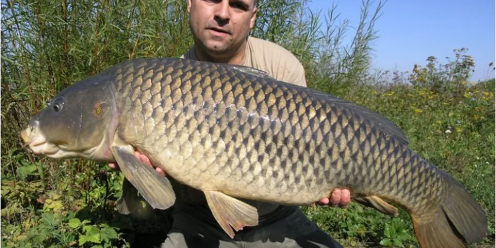 Začátek podzimu na Králové