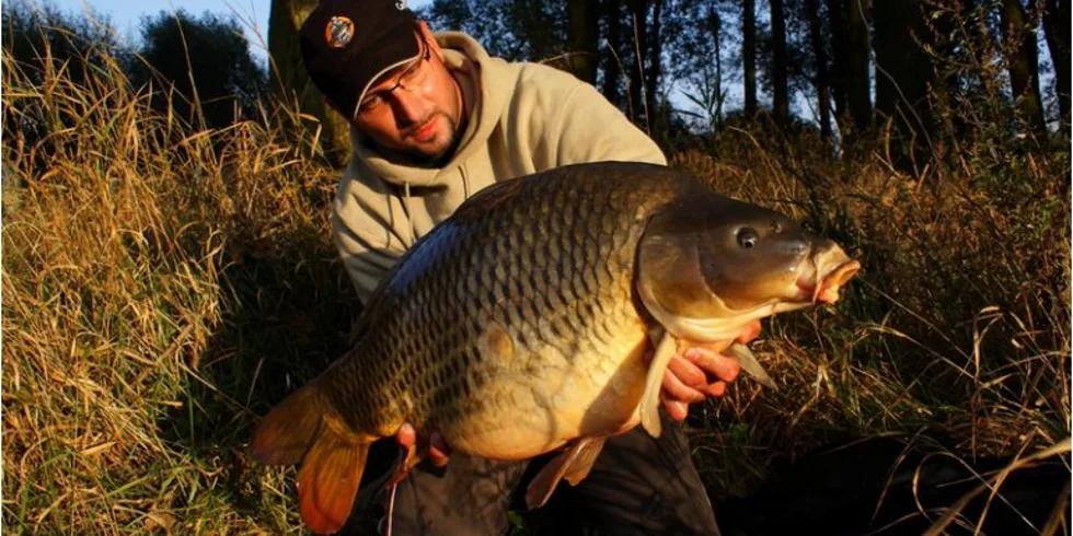 Elitní jahodová smršť