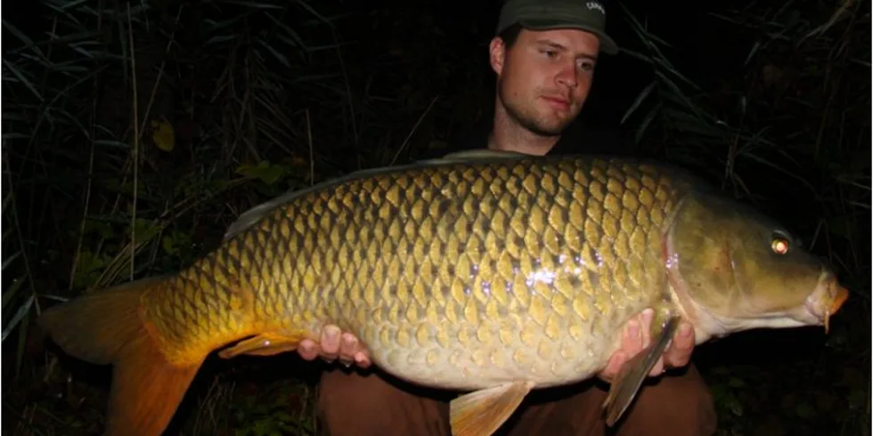 Davidovi Česko-Francouzští šupináči