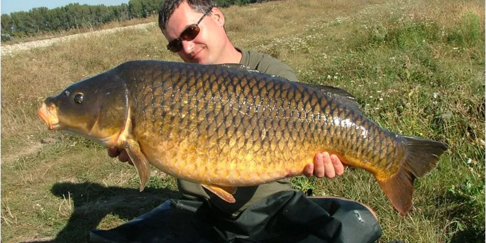 Konec léta na Slovensku