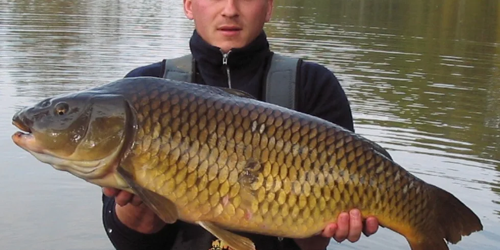 Podzim na severu moravy