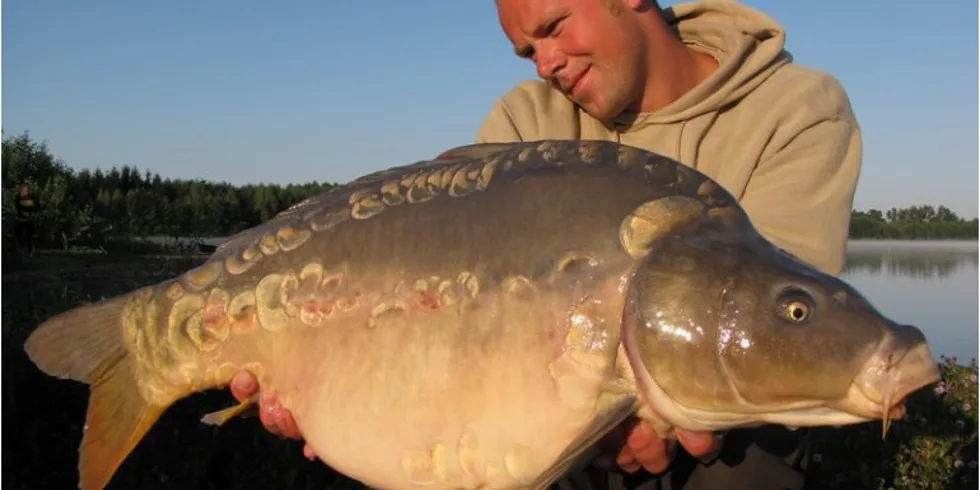 Jirkovy rychlé výpady