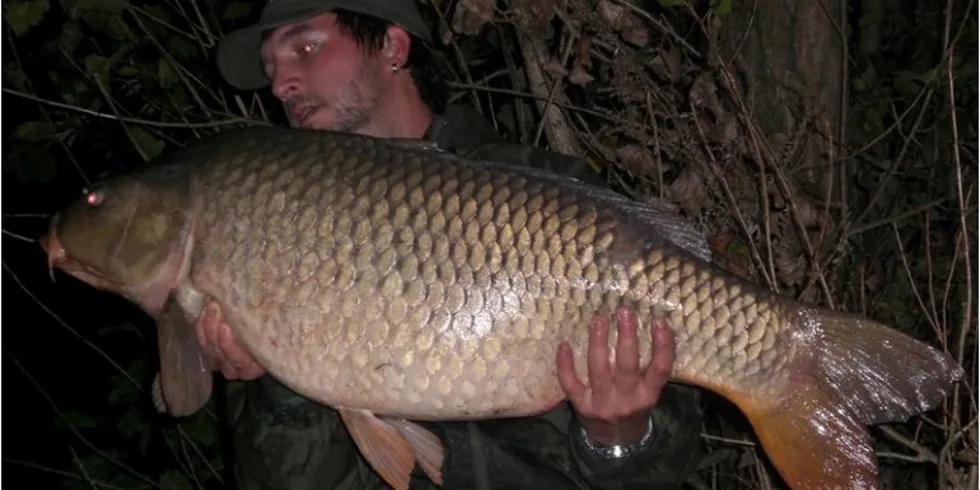 Pavlovy podzimní osobáky