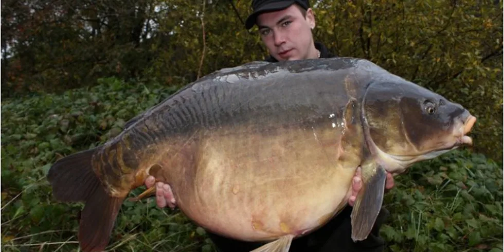 Carpkillerův poklad na Labi