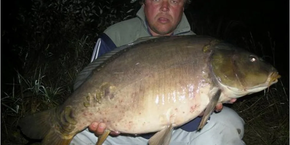 Severomoravské září 