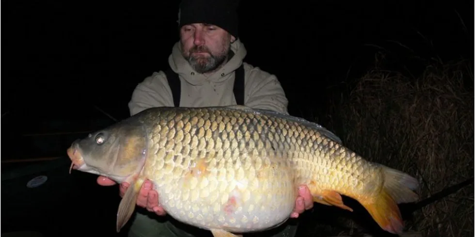 Další podzimní dobrodružství