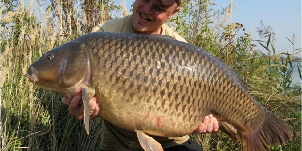 Imperialové šílenství