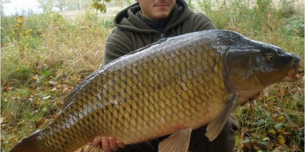 Sváteční lov a šupinatý osobák