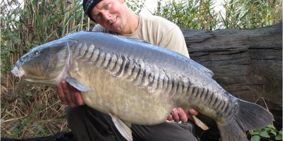 Jirkova Elitní taktika