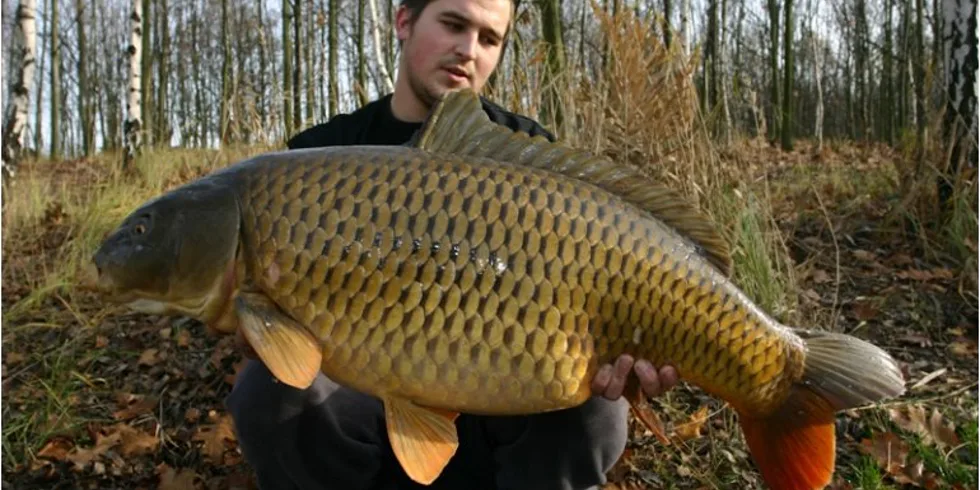 Jindra "Monster" Majer a spol. řádí na Vrbeňáku! 