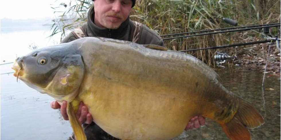 Davidův další letošní úspěch