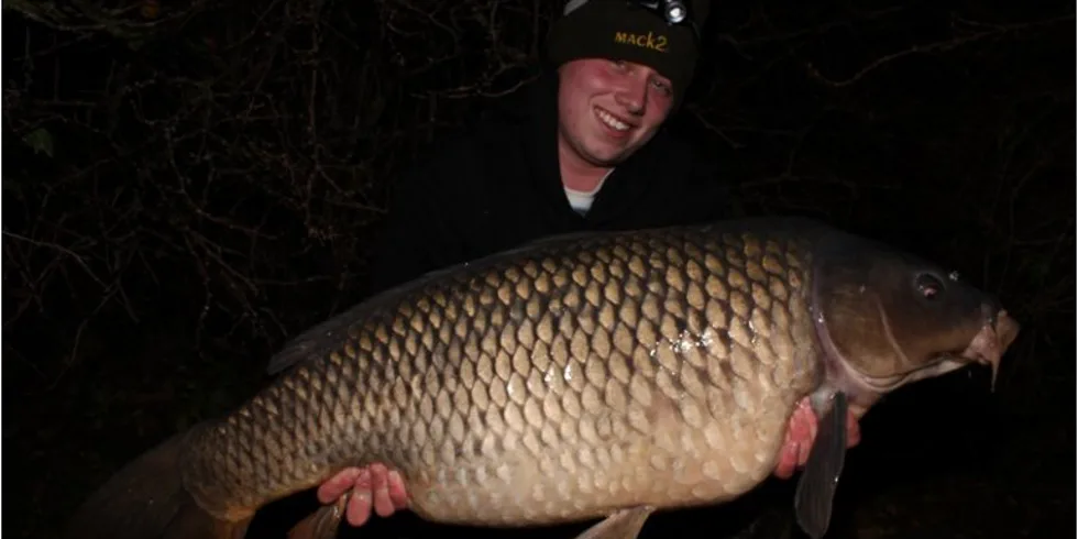 Krvavé hrátky Gangsterů