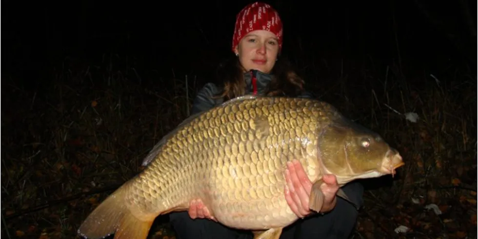 S posledním letošním listím