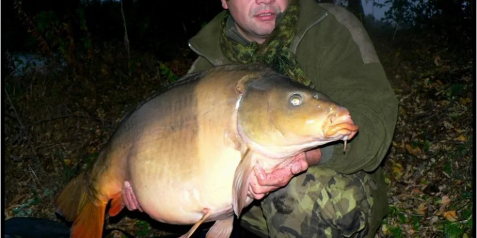 Výsadek na Labském břehu