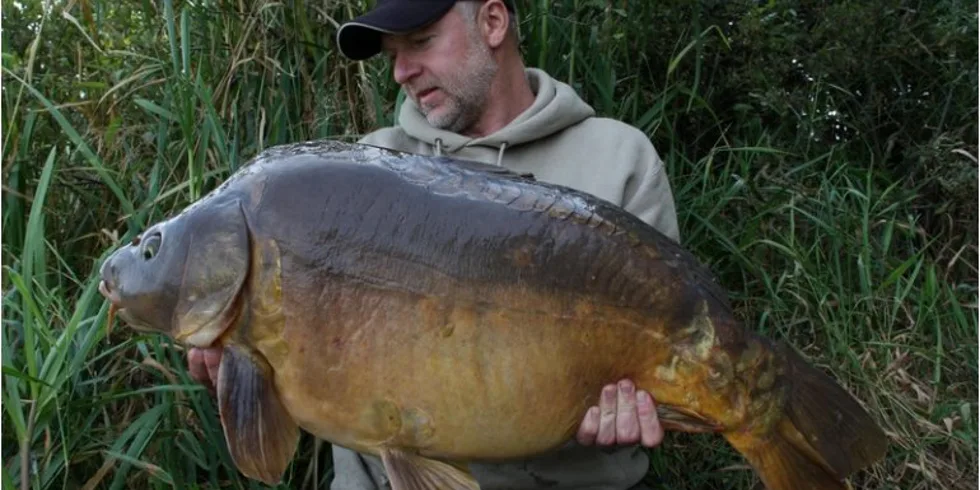 Podzimní Francie Petra Bolka