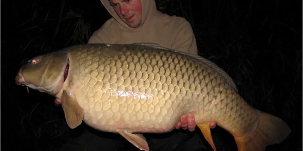 Těsně před zamrznutím