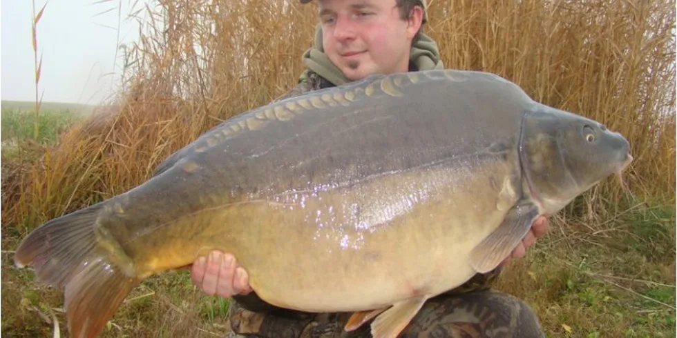 Podzimní šílenství