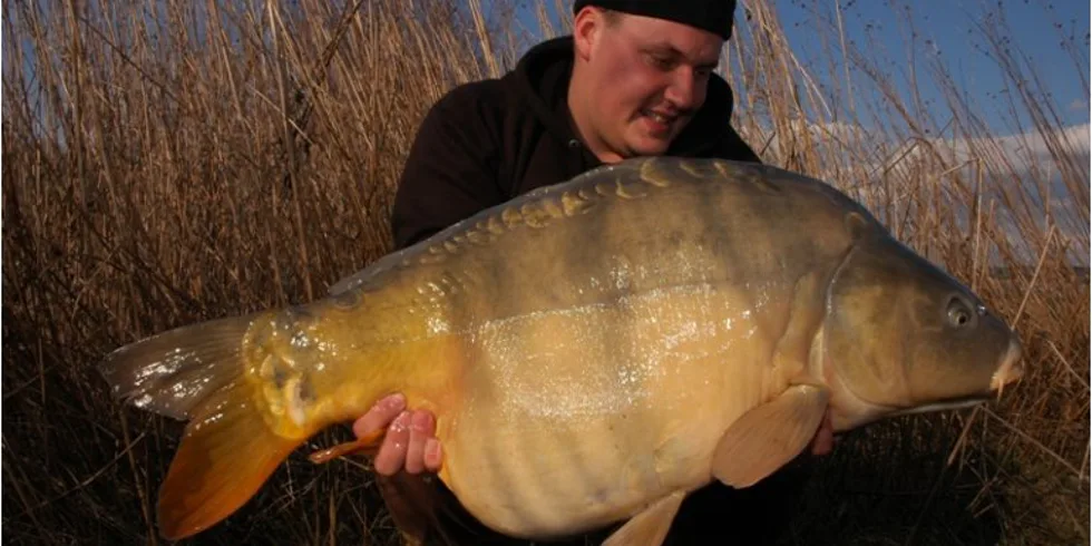 Jumbova velikonoční koleda