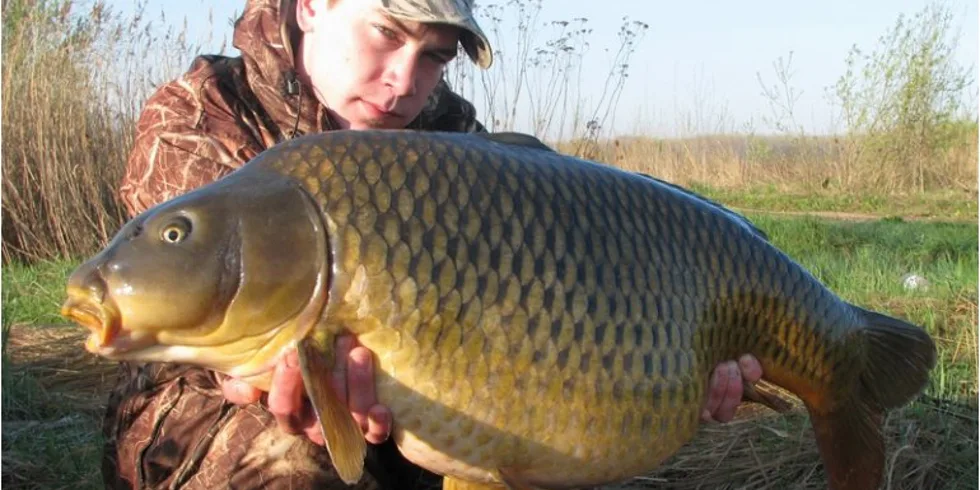 Carpkillerův pekelný rozjezd