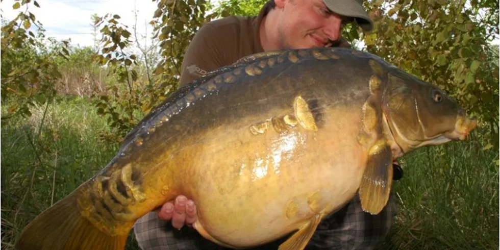 Intenzivní příprava se vyplácí!