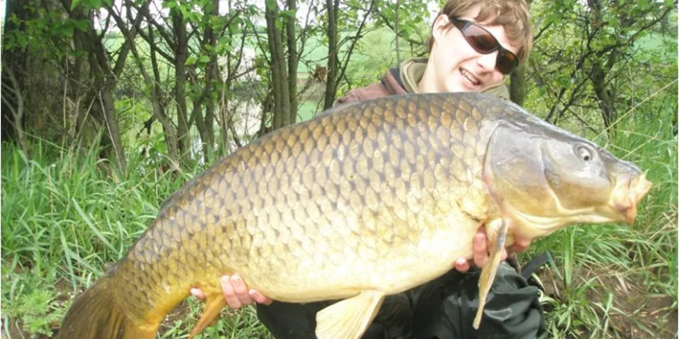 Mládě trhá osobák