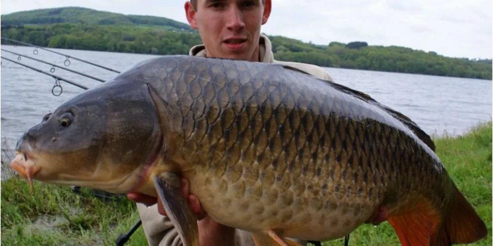 Jarní zahřívání Ondry Kuběny