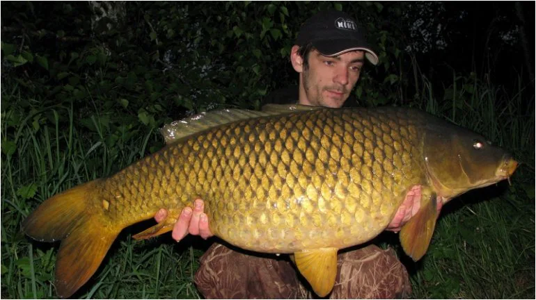 Láďa a jeho krátká tažení