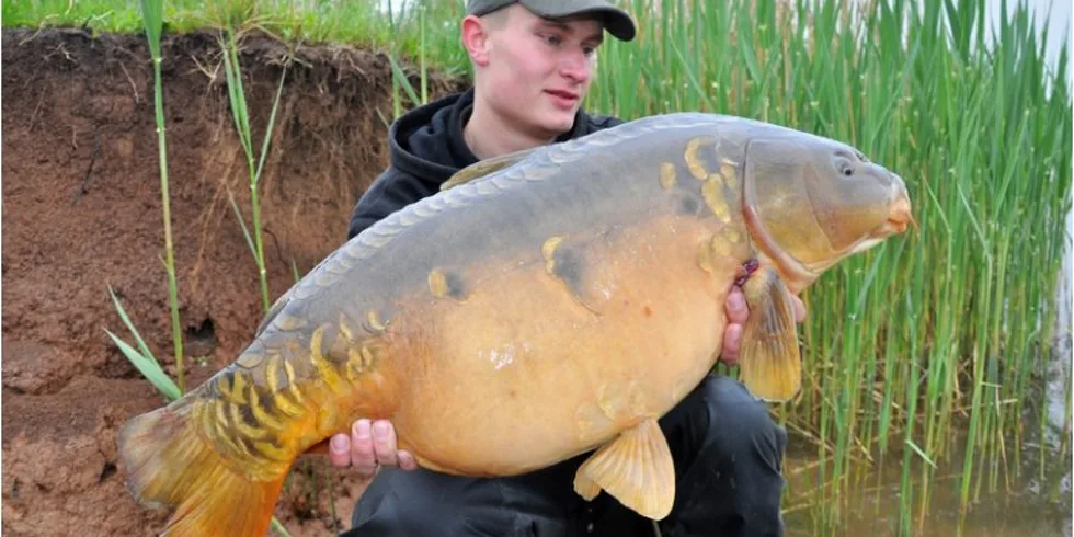 Ještě před zkouškami