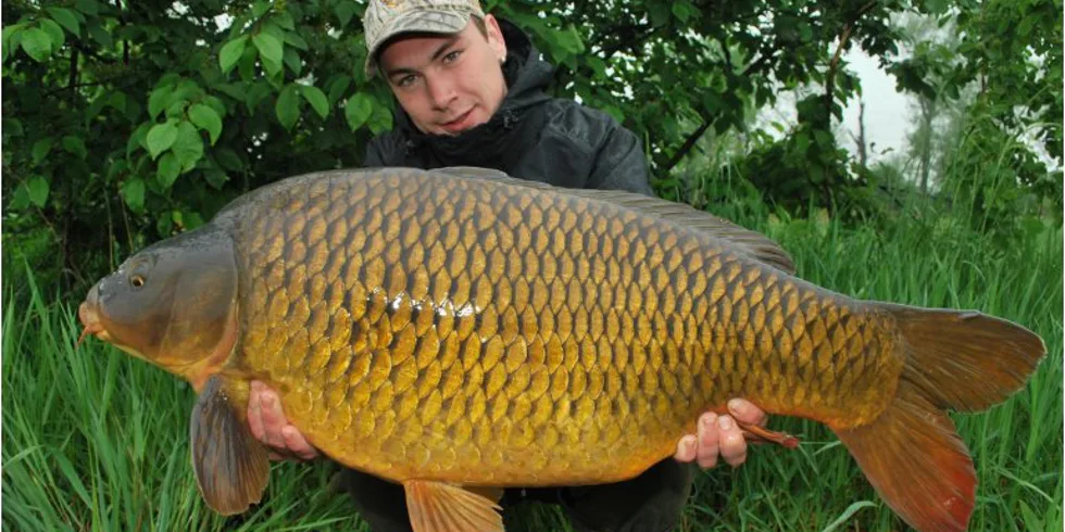 Carpkillerovo rande s Ploutvičkou