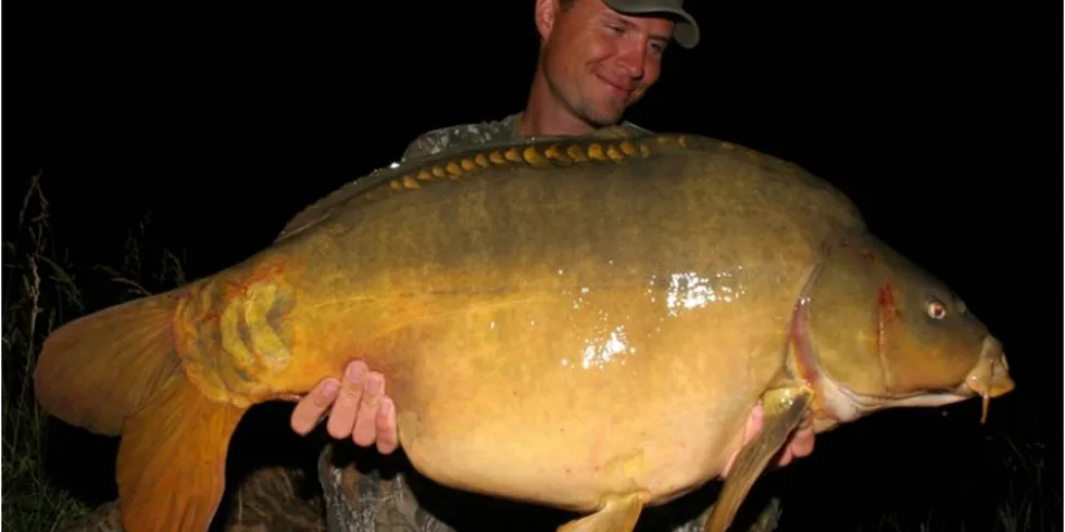 Davidovo francouzské dobrodružství