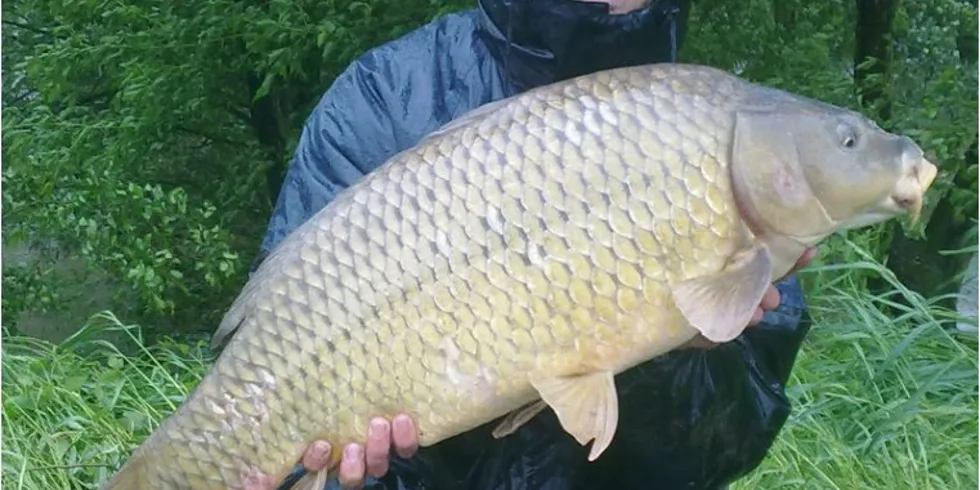 Prodloužený víkend v Maďarsku