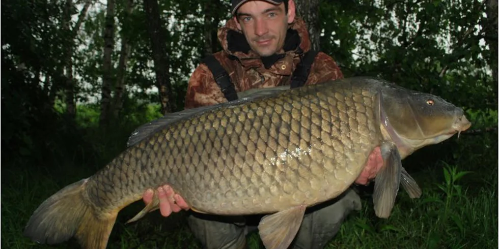 Láďovy letní několikahodinovky