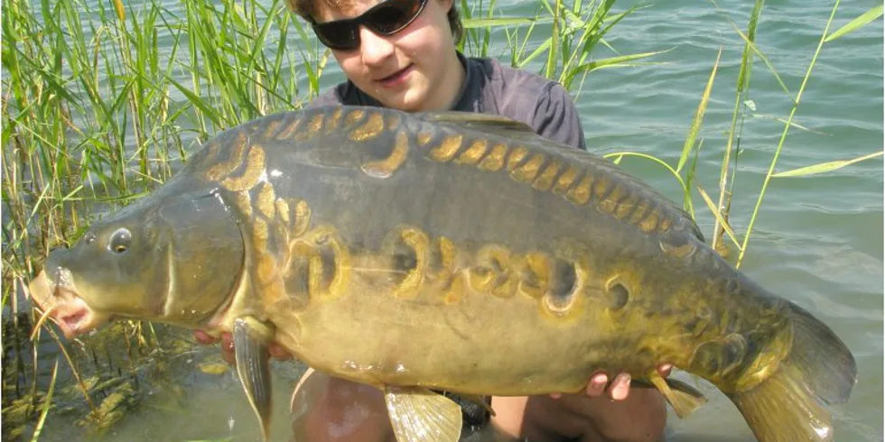 Danův horký začátek prázdnin