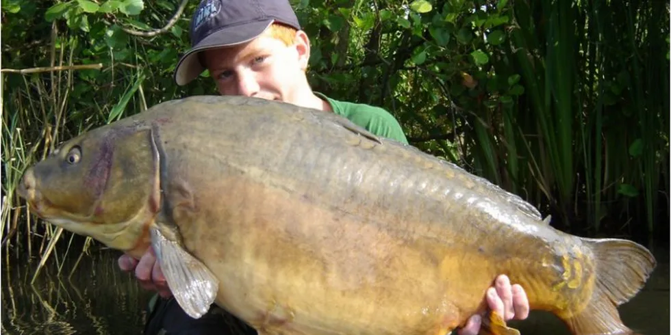 Francouzská premiéra