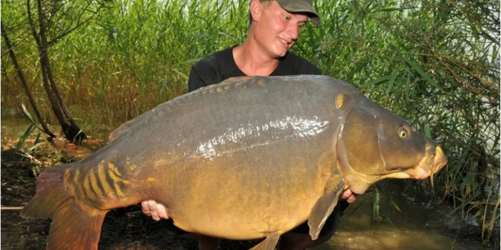 Skutečná letní výzva