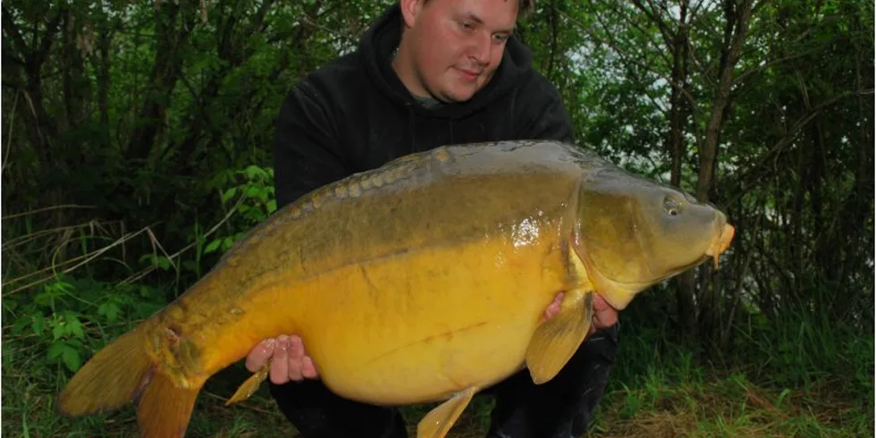 Honzovy noční lovy 