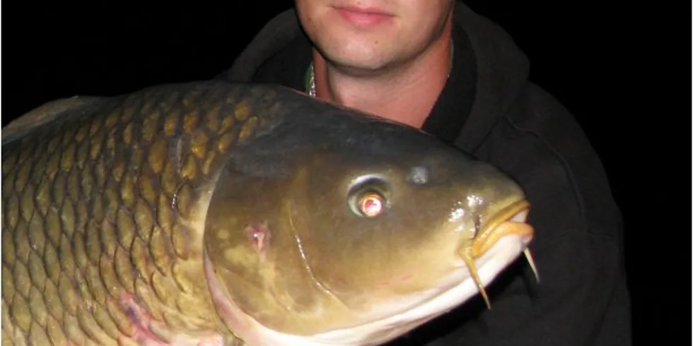 Petráskova Mušovská premiéra