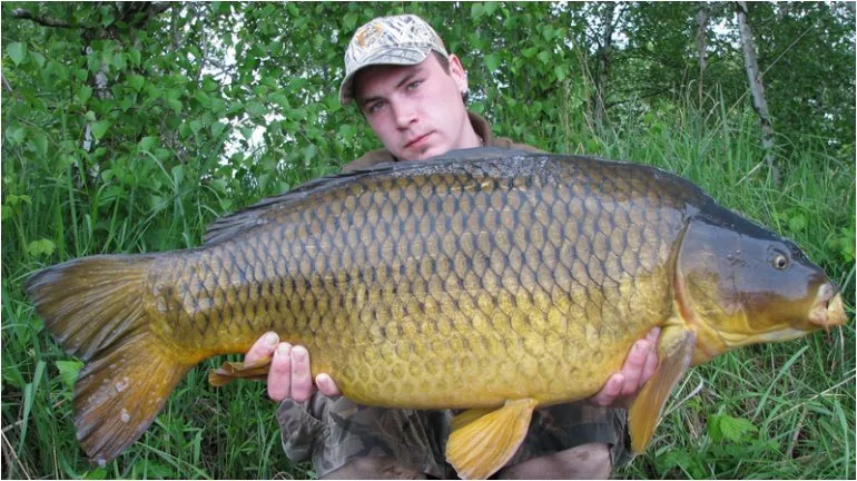 Ještě před třením