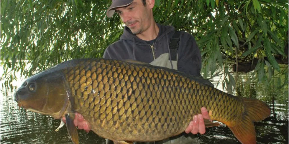 Láďovy kapří hody pokračují