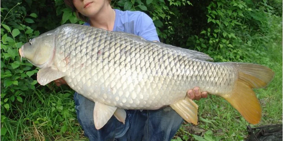 48 hodin na Malém Dunaji 