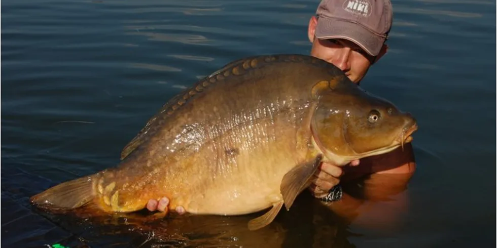 Narozeninová párty u vody