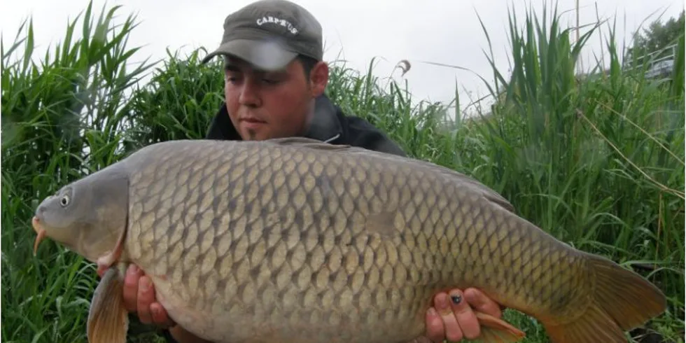 První polovina sezony