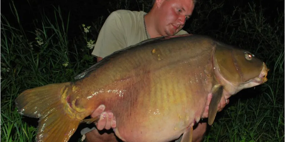 Honzovo Francouzské dobrodružství