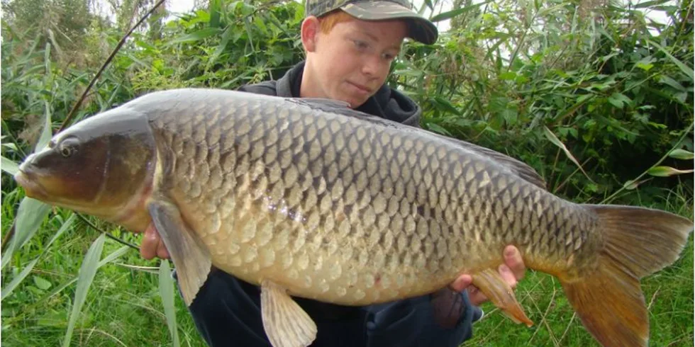 Konec prázdnin v podání Kinder Carp Gangu