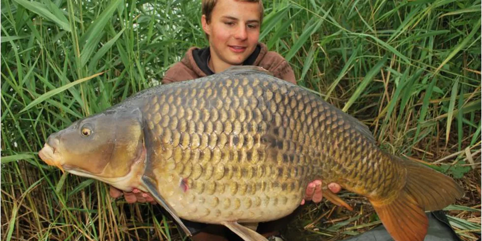 Mláděho letní dobrodružství na pískovně