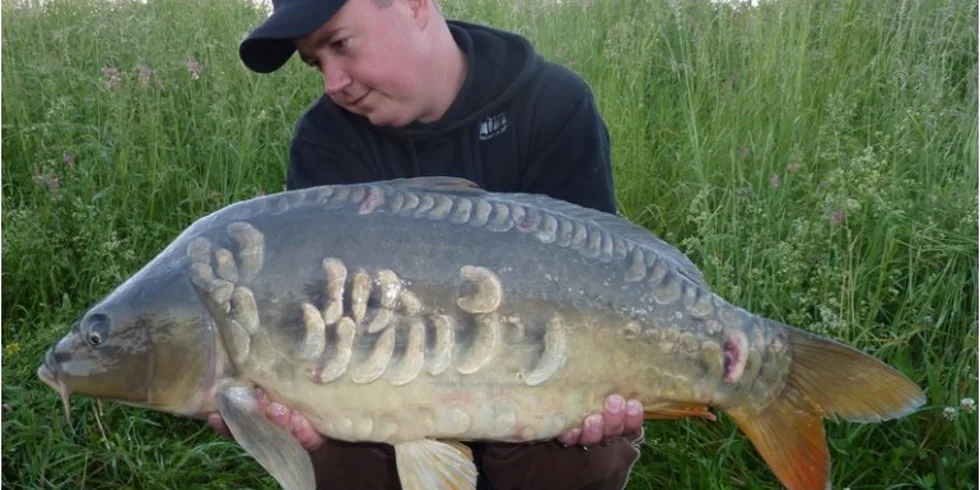 Nezištná pomoc se vyplácí... 