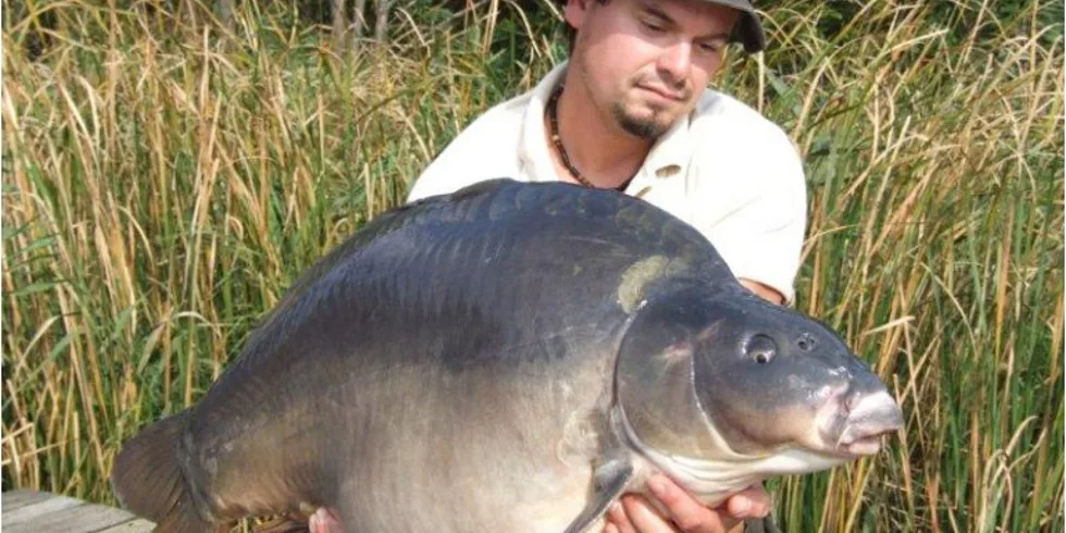 CT PePe a jejich Maďarská série