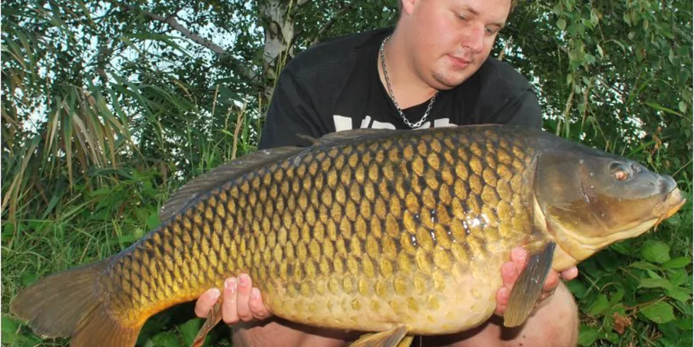 Honzovy noční můry