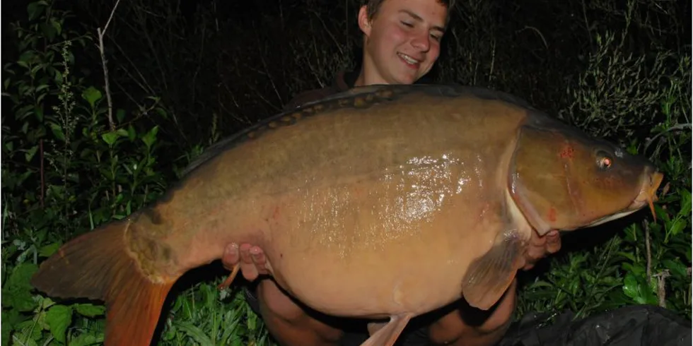 Další zářezy do Mláděho pažby